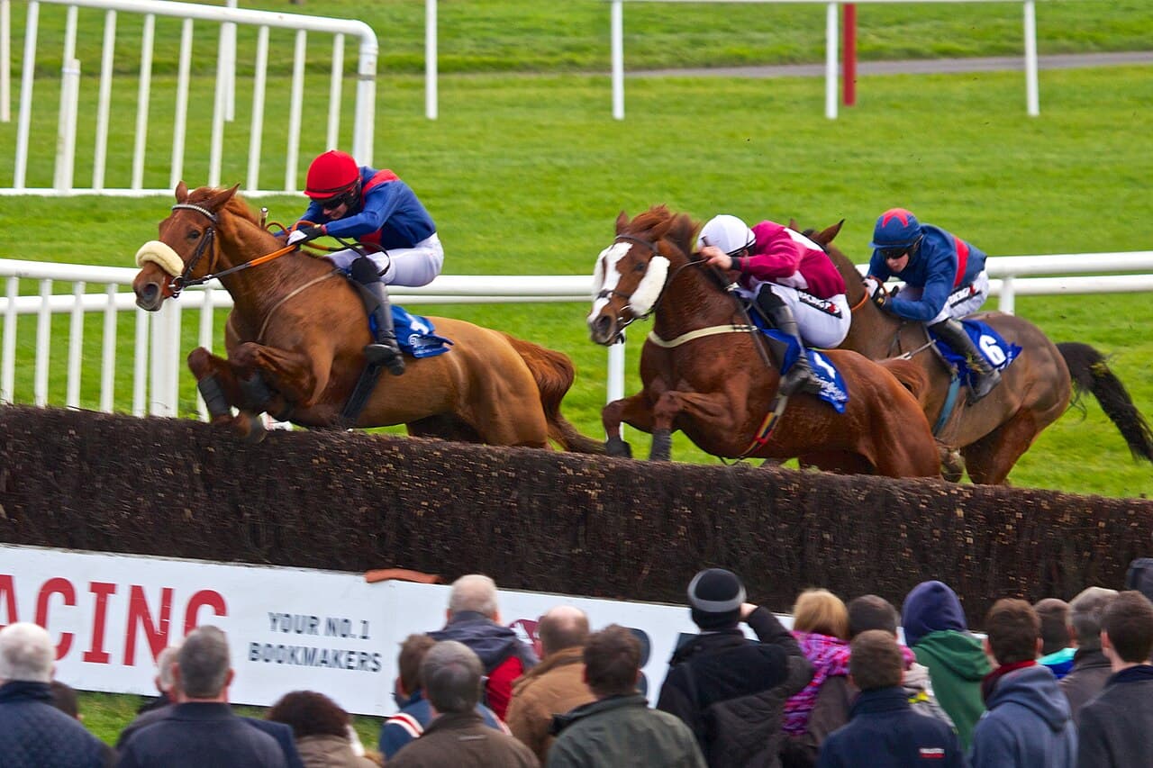Horse racing at Fairyhouse