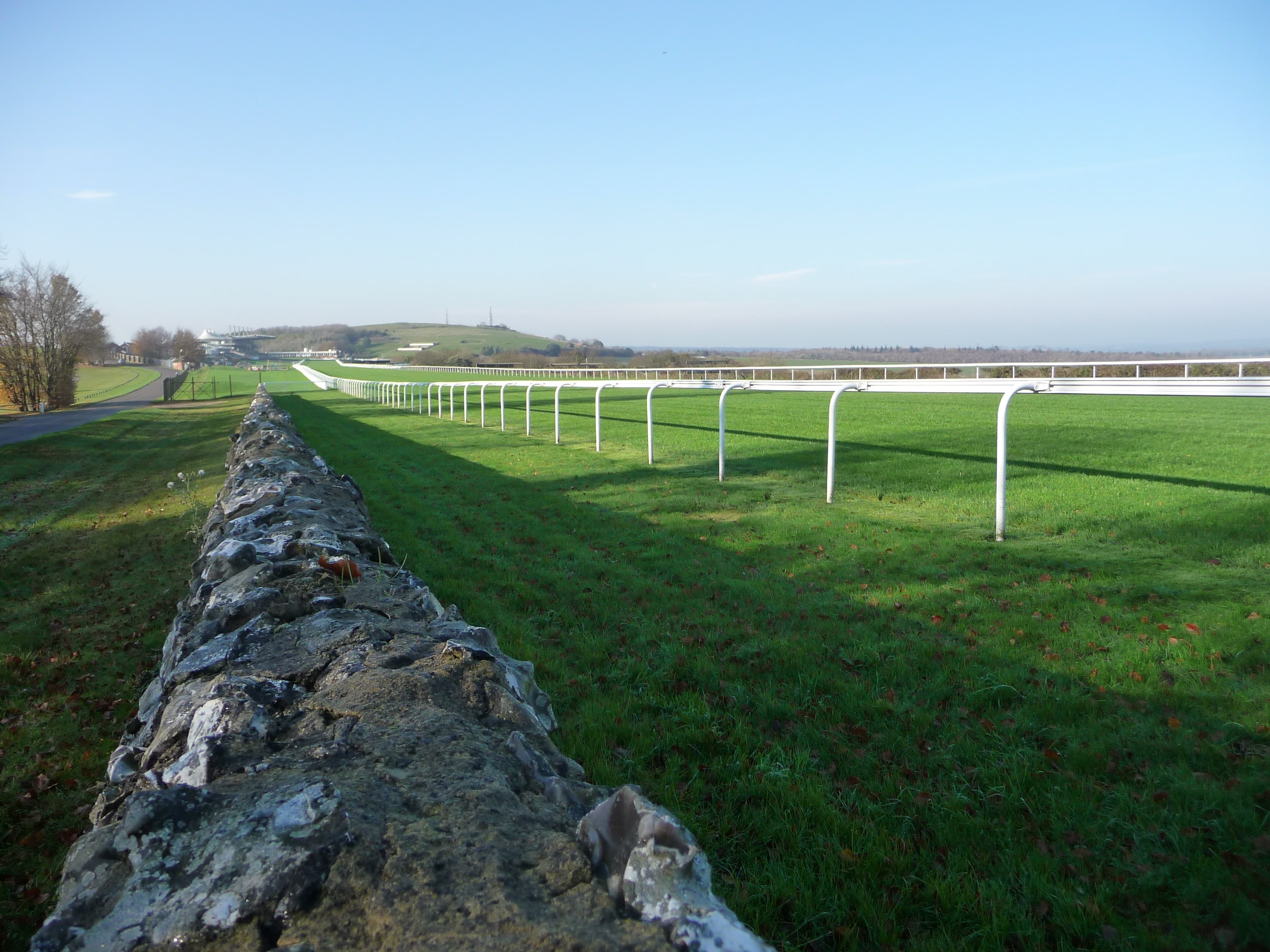 Goodwood Racecourse on the Downs