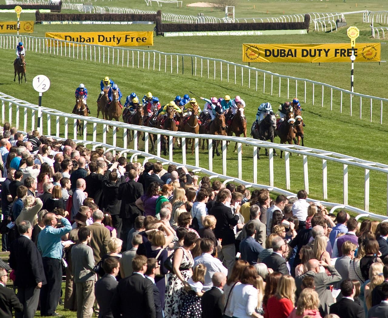 Race finish at Newbury Racecourse