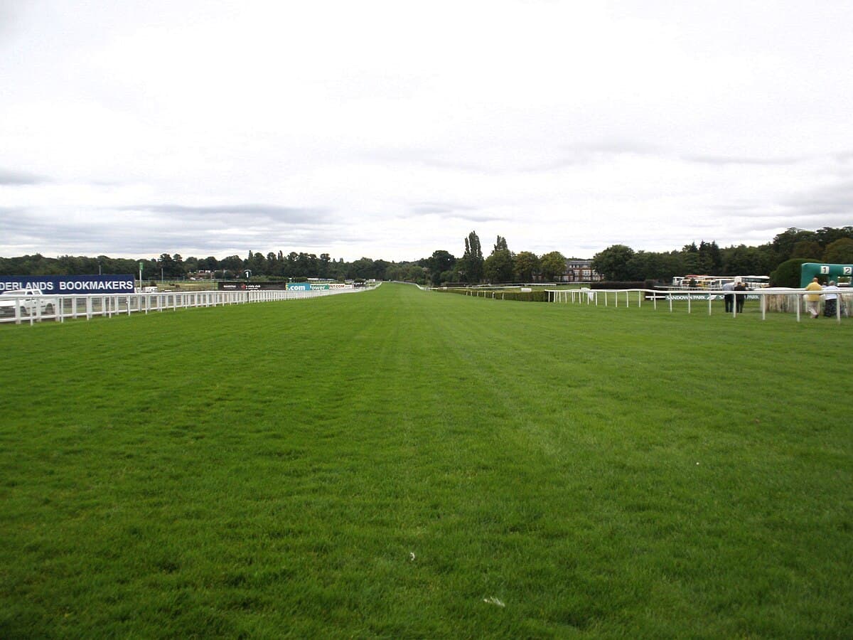 Sandown Park Racecourse in Esher