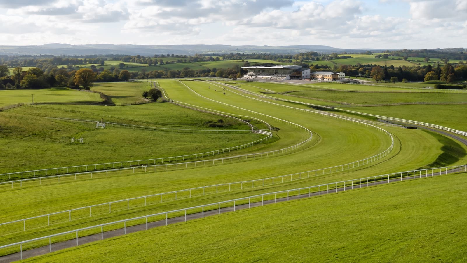 Gowran Park racecourse lay betting course artwork